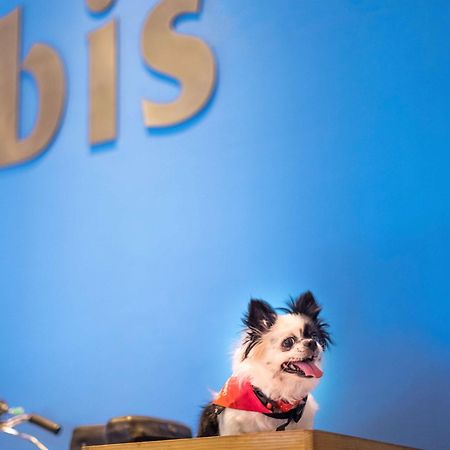 Ibis Montpellier Centre Comedie Экстерьер фото