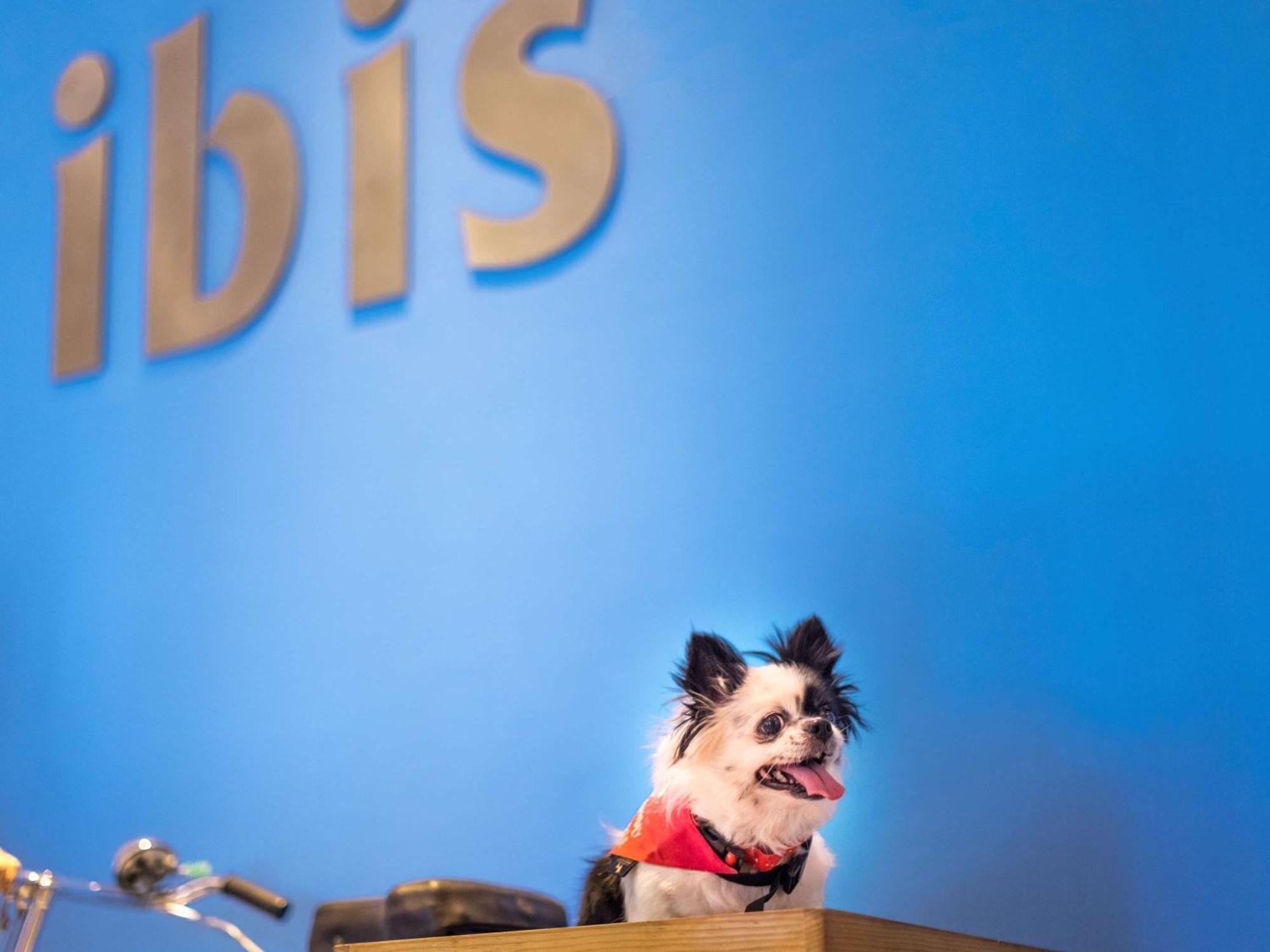 Ibis Montpellier Centre Comedie Экстерьер фото