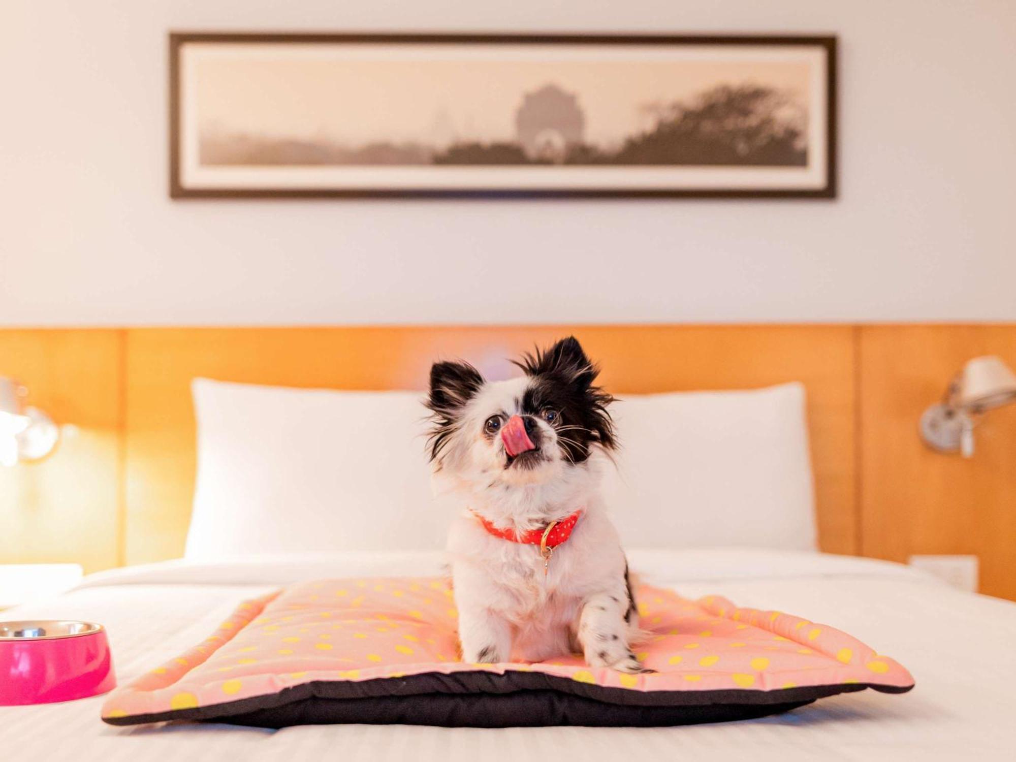 Ibis Montpellier Centre Comedie Экстерьер фото